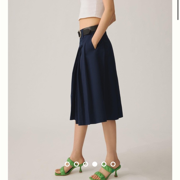 Anthropologie Pleated Midi Skirt - Picture 4 of 15